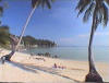 The tropical resort beach